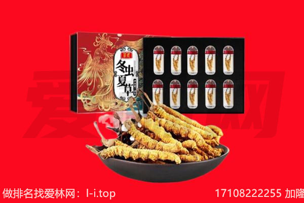 宜城市回收虫草.jpg